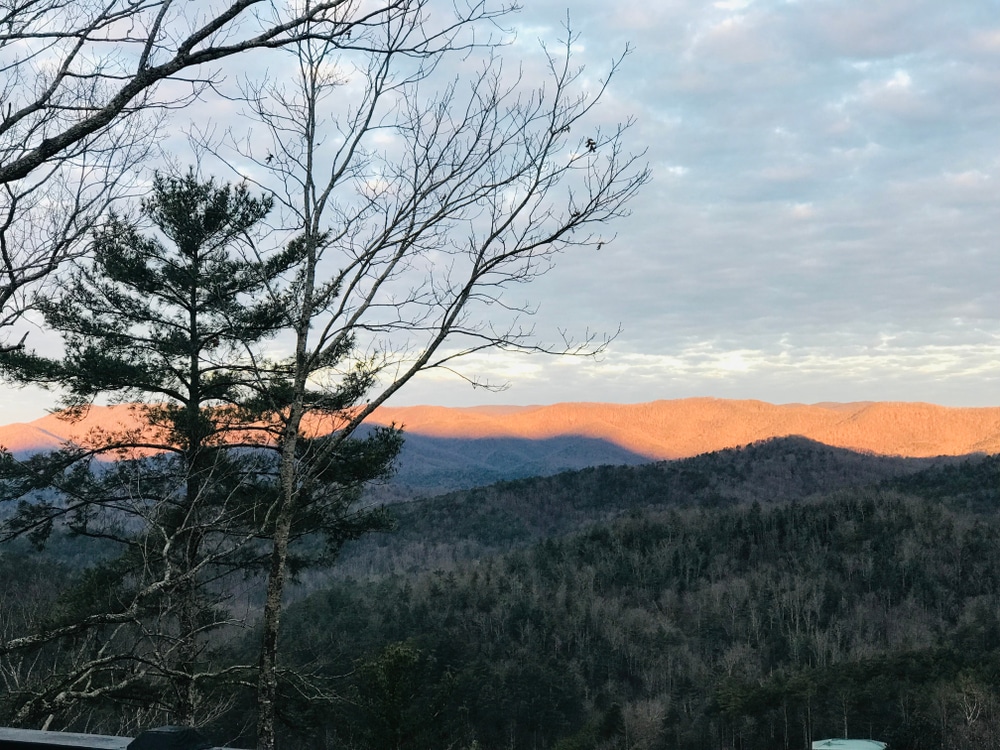 A Travelers Guide to Cherry Log, GA Blue Sky Cabin Rentals